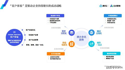 迅奇广告联盟，打造高效广告平台，引领数字营销新风尚