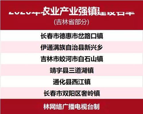 黑蒜网盟，重塑农业产业链，引领健康产业新风尚