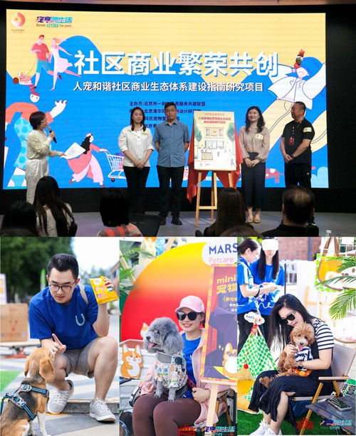 友邻广告交换联盟，携手共创社区新生态