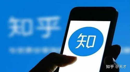 星兔广告联盟，打造精准营销，引领数字时代广告新风尚