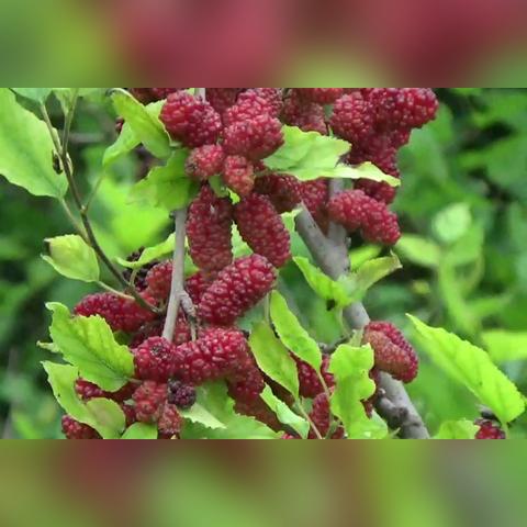 益久广告联盟，打造高效广告合作新生态，引领数字营销新趋势