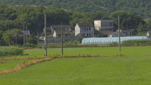 三拐村广告联盟，乡村振兴的新引擎