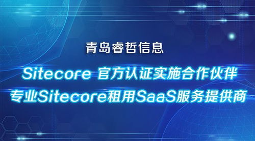 慧云广告联盟，重塑数字营销新生态，引领企业高效增长