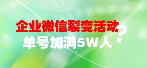 来丰收实效推广网盟，打造高效营销，助力企业实现丰收