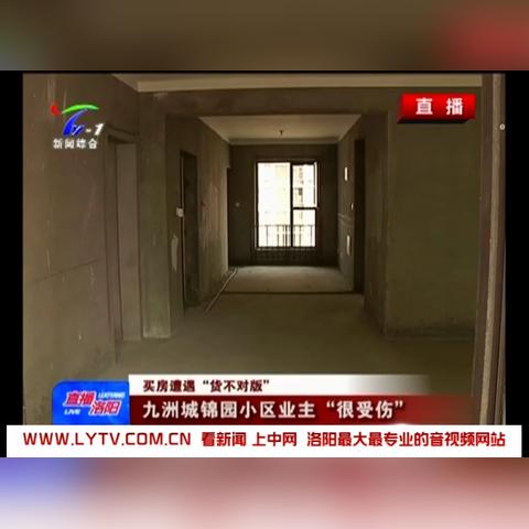 九洲广告联盟，重塑数字营销新生态