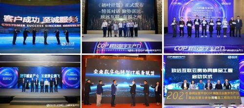 探索五百广告联盟，揭秘互联网广告新生态