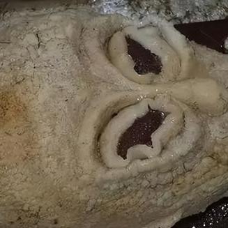 UFO零扣量联盟，探索未知世界的理性之光