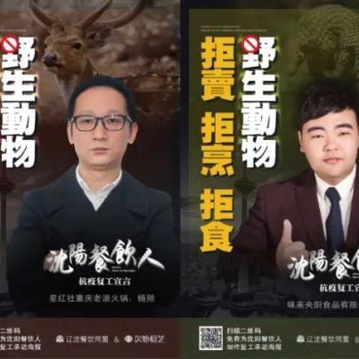 安心广告联盟，重塑数字营销生态，引领诚信广告新风尚