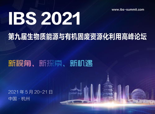 探索lbchs广告联盟，揭秘高效广告投放的奥秘