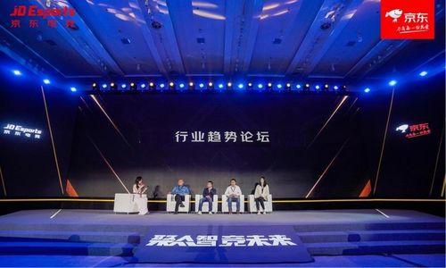 多多联盟，携手共创共赢的电商新生态