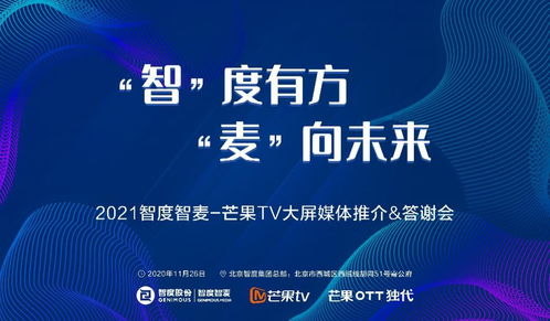 黑智传媒，重塑传媒行业的未来之路