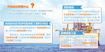 鲸鲨网盟，探索海洋生态与数字经济的交汇点