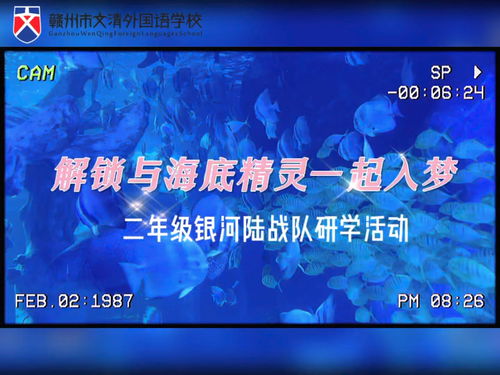 心海传媒，探索心灵深处的传媒力量