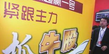 东巴网盟，探索古老文明与现代网络融合的奇迹