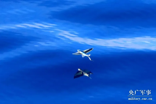 飞海联盟，探索海洋的无限可能，共筑蓝色梦想