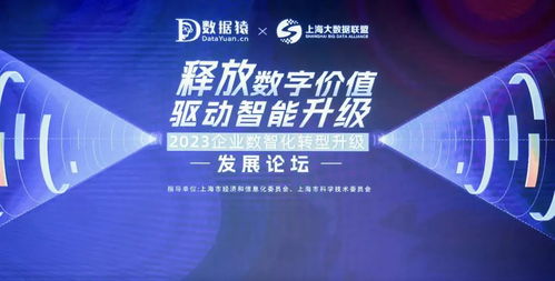 彼维广告传媒，重塑数字营销新生态的创意引擎