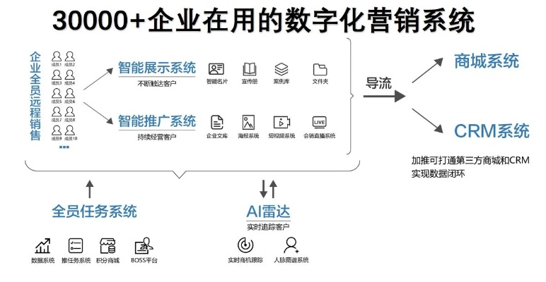 精准联盟，小明如何引领数字化时代的精准营销