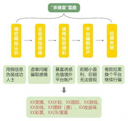 宝利交友CPA联盟，重塑社交与职业发展的双赢模式