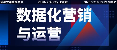 龙达广告联盟，重塑数字营销新生态的领航者