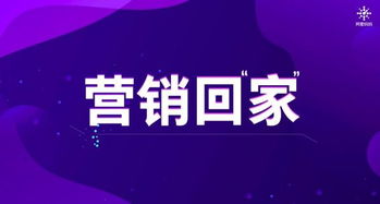 阿里妈妈广告联盟，重塑数字营销新生态的先锋力量
