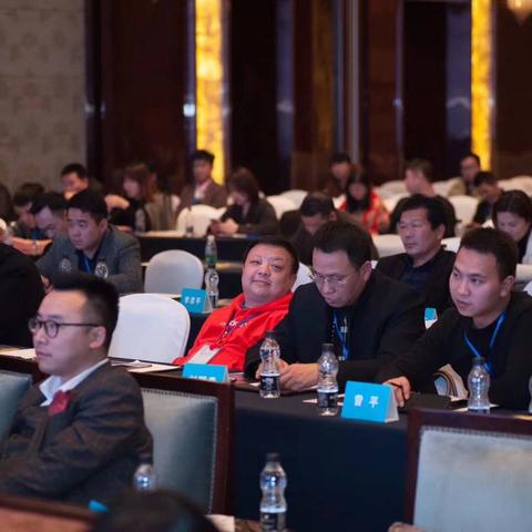 创意无限，精准触达，打造高效广告策略的全面指南