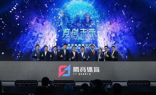 探索无广告联盟模式，重塑网络合作生态的新篇章