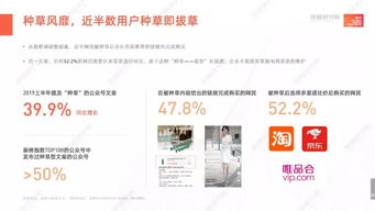 广告联盟评测网，揭秘行业内幕，助你精准投放广告