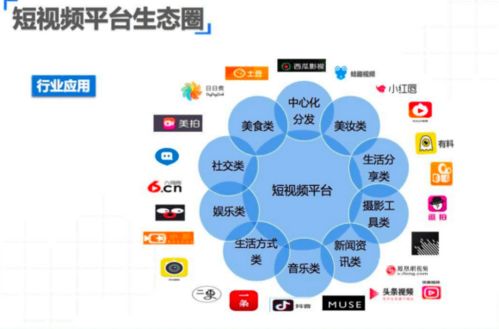 弹窗联盟，重塑数字时代用户交互的新模式