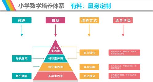 多维度策略，打造高效论坛推广计划