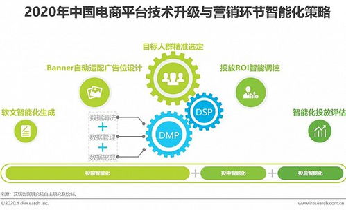 日付广告联盟，精准投放，高效转化，开启数字营销新篇章