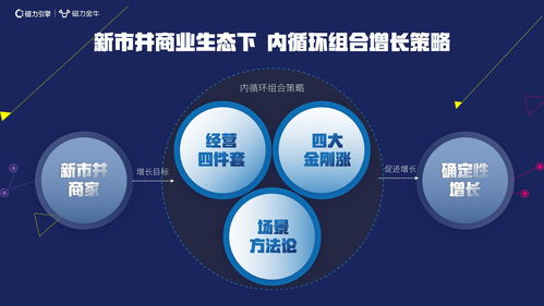 流量联盟，重塑数字营销生态，驱动商业增长新引擎