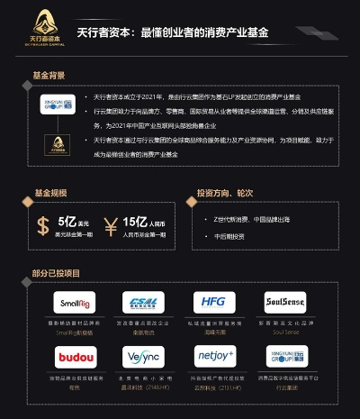 重塑联盟广告，解锁品牌合作的新纪元