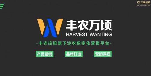 亿网广告联盟，重塑数字营销新生态