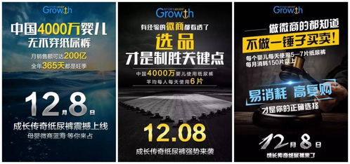 椰子广告联盟，打造高效广告平台，引领数字营销新风尚