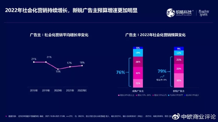 亿告背后的秘密，数字时代下的广告变革与未来展望