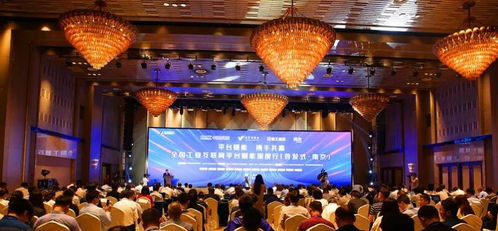 迪酷短信联盟，重塑通信行业的未来