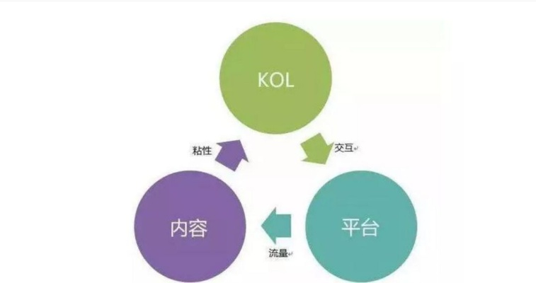Kooip网站流量联盟，打造高效网络营销的必备工具