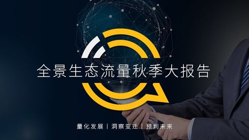Top5流量联盟，重塑数字营销格局的五大力量