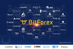 bfsoo弹窗日付联盟，重塑互联网广告生态，引领日付新潮流