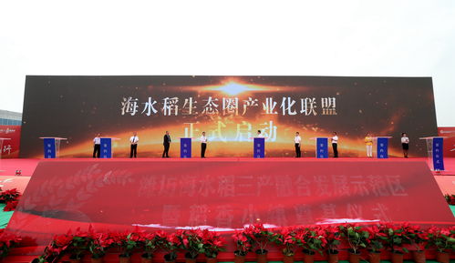 企业广告联盟，重塑品牌生态，共筑商业新纪元