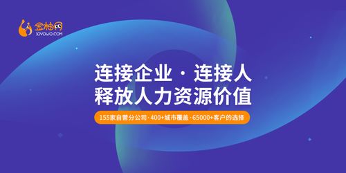 百川广告联盟，打造高效广告生态，引领数字营销新风尚