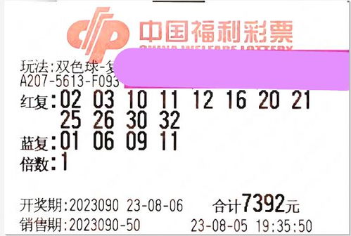 彩票联盟，梦想与现实的博弈，理性与疯狂的交织