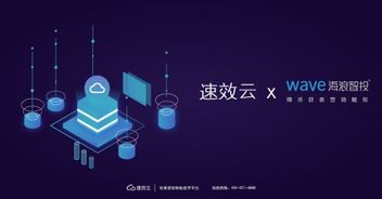69广告联盟，打造高效广告投放，助力企业营销新飞跃