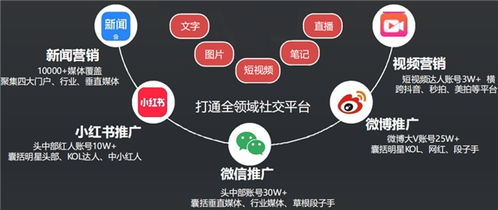 0451广告联盟，打造高效广告投放，助力企业精准营销