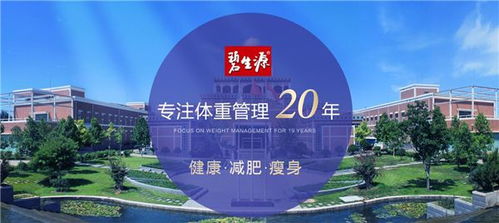 金旺广告传媒，打造品牌新高度，引领数字营销新潮流