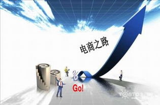 高价日结算联盟，重塑电商支付生态，引领消费新趋势