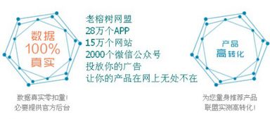 老榕树广告联盟，携手共赢，共创数字营销新篇章