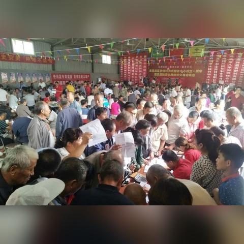 5678广告联盟，打造高效广告投放，引领数字营销新风尚