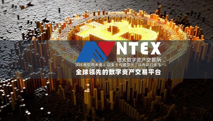 NBN交换链，重塑数字经济的未来