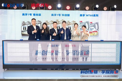 99交友联盟，重塑社交新生态，引领数字时代交友新风尚